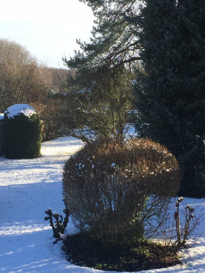 La Ferme Des Ruelles Bed & Breakfast Moigny Exterior photo